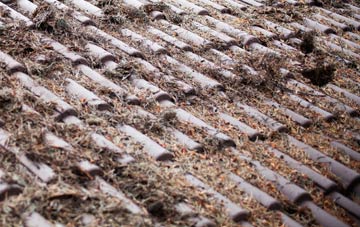 Trefil roof cleaning companies